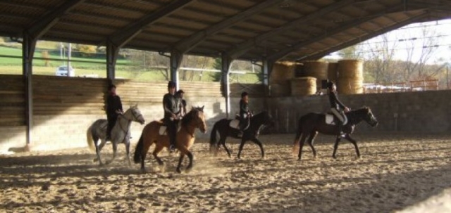 Escuela de equitación inglesa en los Apeninos toscano-emilianos 